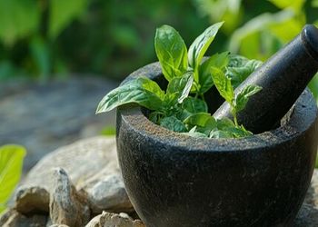 Natural Herbs