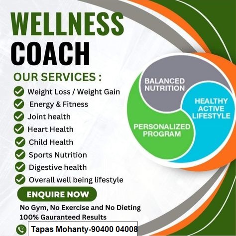 Services we provide